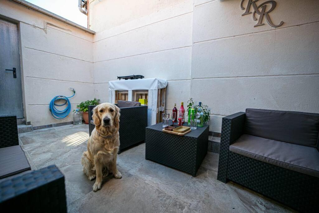 Miraleon Villa Kültér fotó